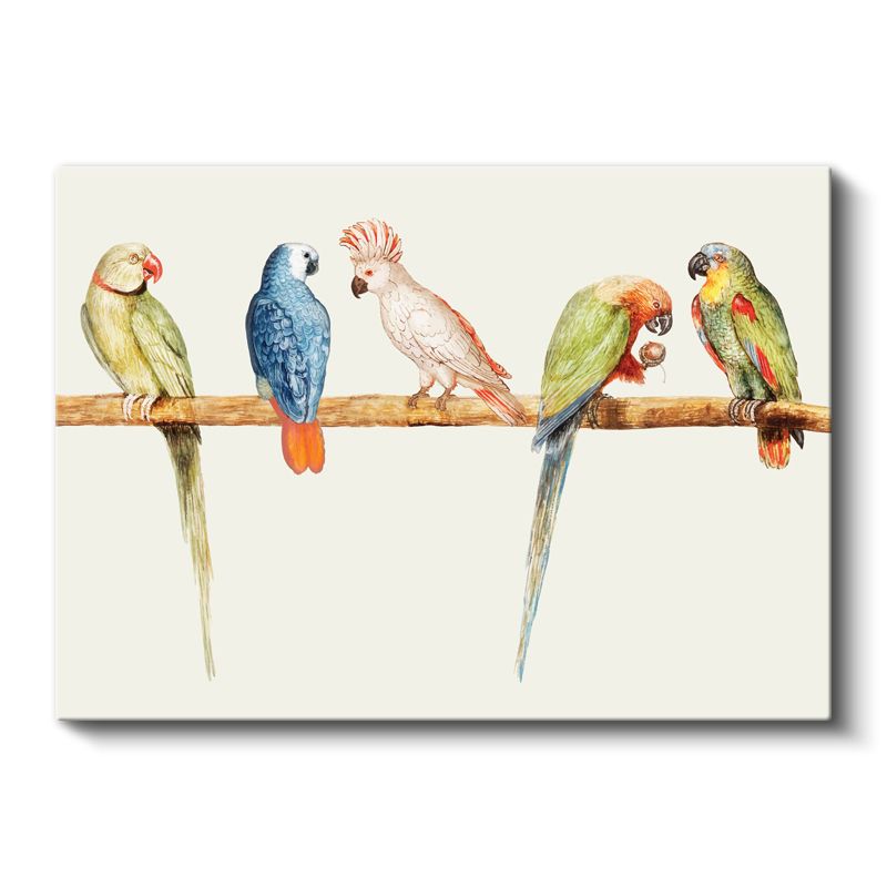 Papağan Ailesi - Dal Üzerinde Renkli Beşli Kanvas Tablo