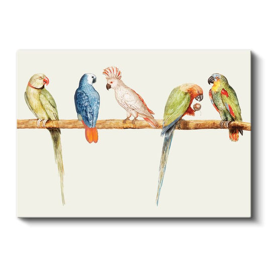 Papağan Ailesi - Dal Üzerinde Renkli Beşli Kanvas Tablo