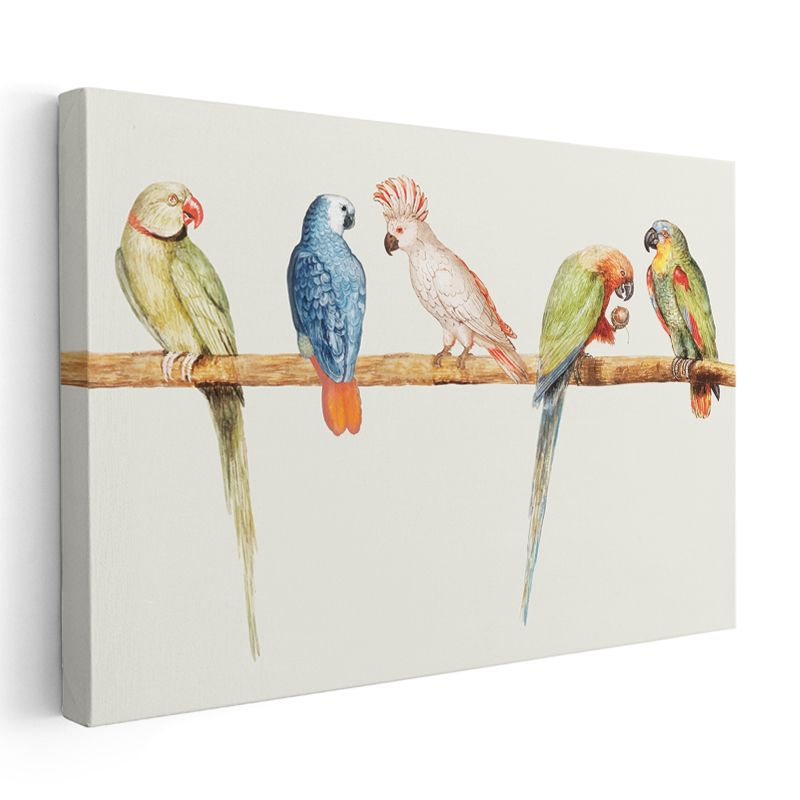 Papağan Ailesi - Dal Üzerinde Renkli Beşli Kanvas Tablo