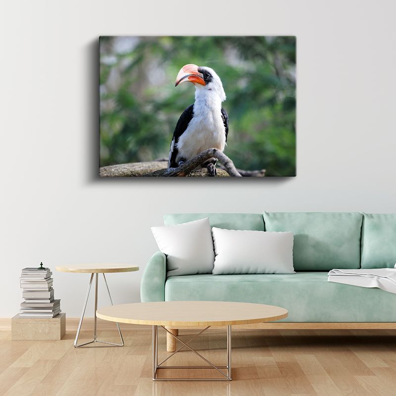 Boynuzlu Kuş - Dal Üzerinde Beyaz Göğüslü Avcı Kanvas Tablo