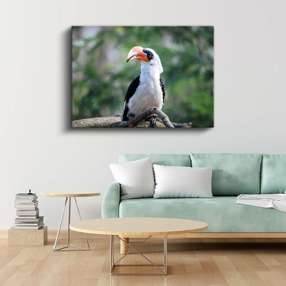 Boynuzlu Kuş - Dal Üzerinde Beyaz Göğüslü Avcı Kanvas Tablo