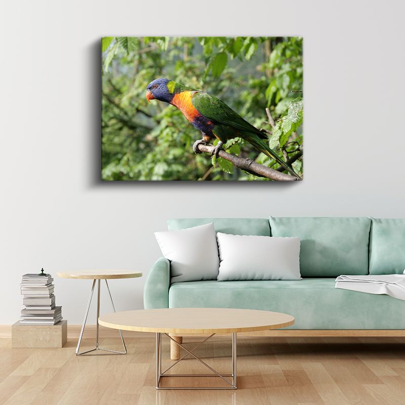 Gökkuşağı Papağanı - Renkli Tüyleriyle Dal Üzerinde Kanvas Tablo
