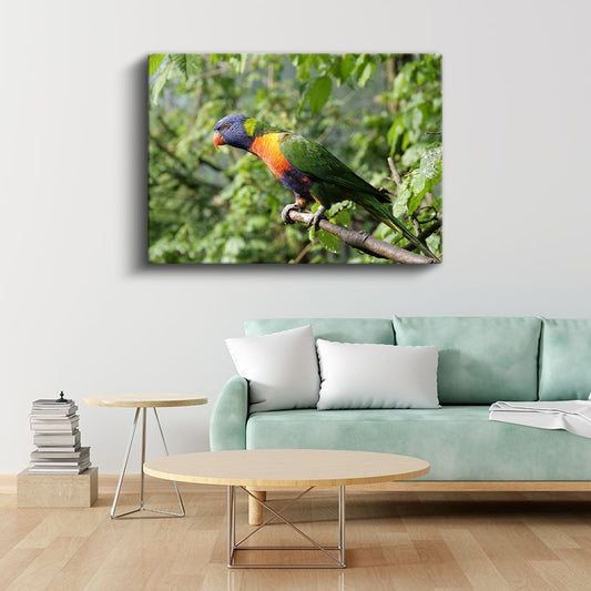 Gökkuşağı Papağanı - Renkli Tüyleriyle Dal Üzerinde Kanvas Tablo