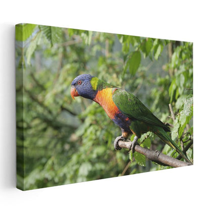 Gökkuşağı Papağanı - Renkli Tüyleriyle Dal Üzerinde Kanvas Tablo