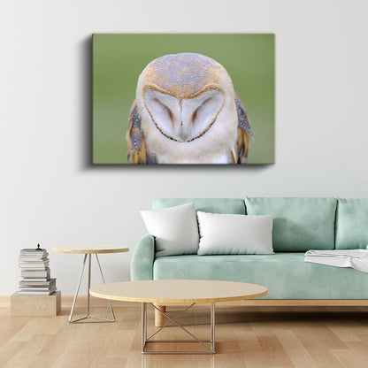 Peçeli Baykuş - Kalp Şeklinde Yüzüyle Bilge Bakışlar Kanvas Tablo