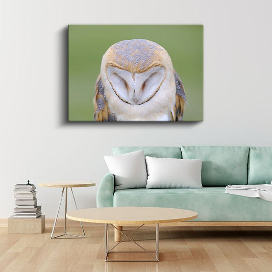 Peçeli Baykuş - Kalp Şeklinde Yüzüyle Bilge Bakışlar Kanvas Tablo
