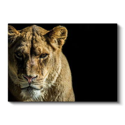 Dişi Aslan - Altın Tüylü Kraliçe Portresi Kanvas Tablo