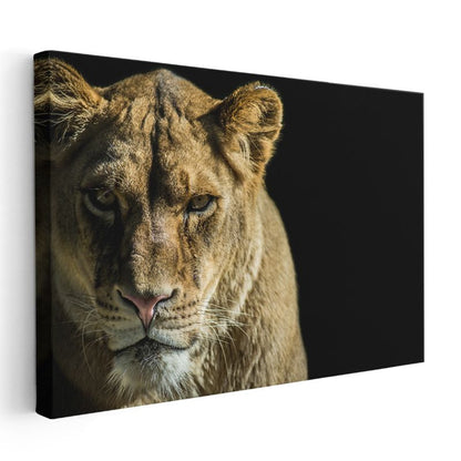 Dişi Aslan - Altın Tüylü Kraliçe Portresi Kanvas Tablo