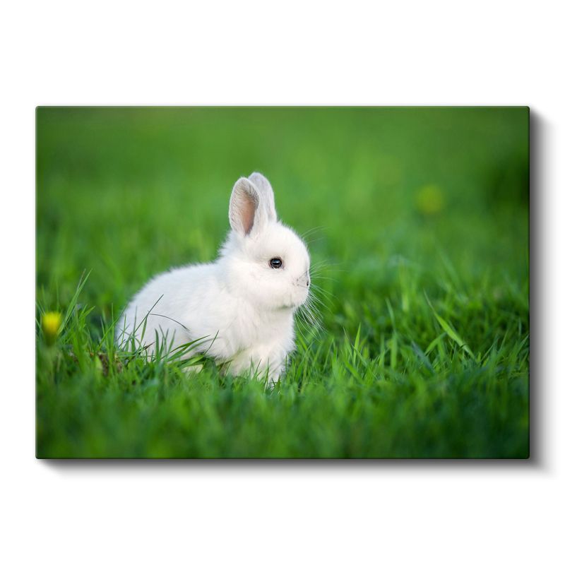 Beyaz Tavşan - Yeşil Çimende Sevimli Dostumuz Kanvas Tablo