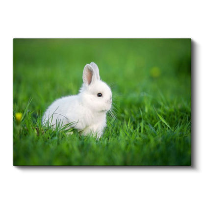 Beyaz Tavşan - Yeşil Çimende Sevimli Dostumuz Kanvas Tablo