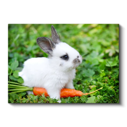 Minik Tavşan - Havuçlu Yemek Vakti Kanvas Tablo