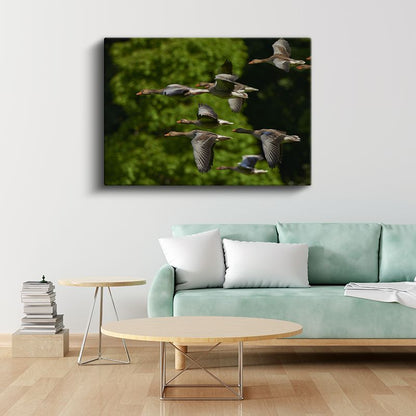 Göçmen Kazlar - Uyumlu Uçuş Formasyonu Kanvas Tablo