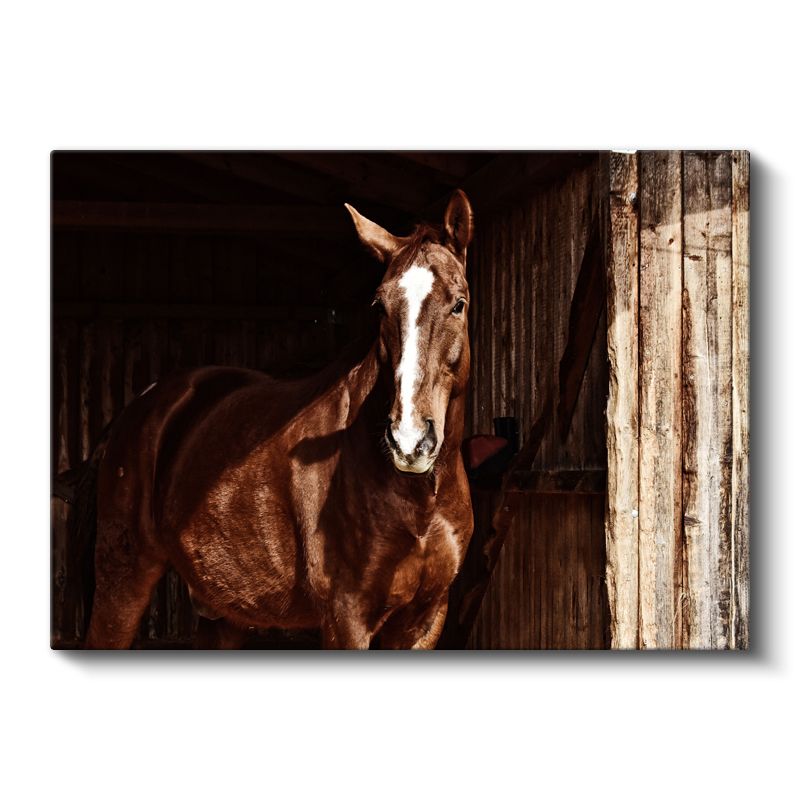 Kahverengi At - Ahırda Asil Duruş Kanvas Tablo