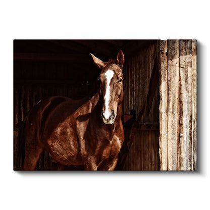 Kahverengi At - Ahırda Asil Duruş Kanvas Tablo