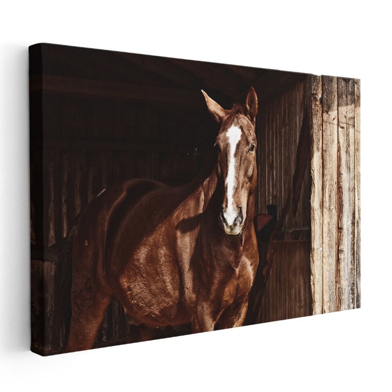 Kahverengi At - Ahırda Asil Duruş Kanvas Tablo