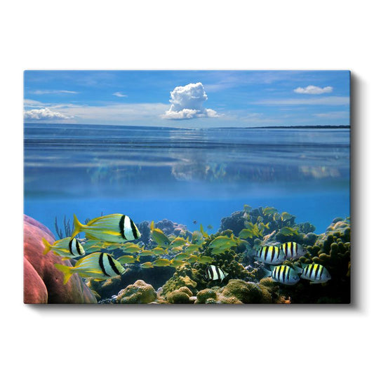 Mercan Cenneti - Renkli Tropikal Balıkların Dansı Kanvas Tablo