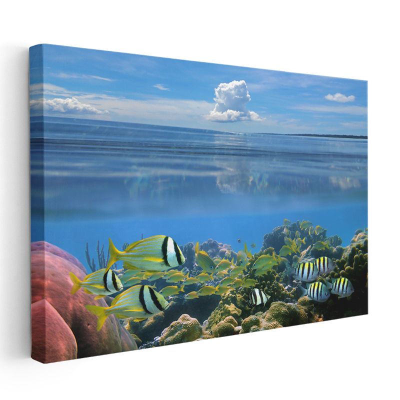 Mercan Cenneti - Renkli Tropikal Balıkların Dansı Kanvas Tablo