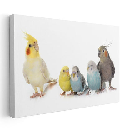 Muhabbet Kuşları Ailesi - Renkli Tüylerin Uyumu Kanvas Tablo