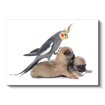 Dostluk Zamanı - Sultan Papağanı ve Yavru Köpekler Kanvas Tablo
