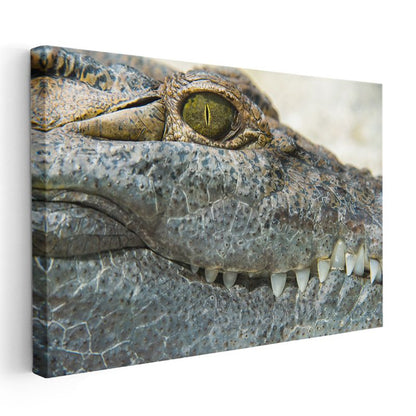 Timsahın Bakışı - Keskin Gözlerin Gizemi Kanvas Tablo