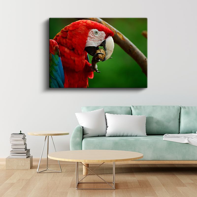 Ara Papağanı - Kırmızı Tüylü Güzelliğin Yemek Keyfi Kanvas Tablo