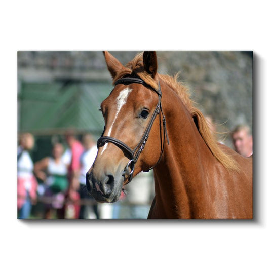 Asil Duruş - Kahverengi Atın Portresi Kanvas Tablo