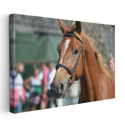 Asil Duruş - Kahverengi Atın Portresi Kanvas Tablo