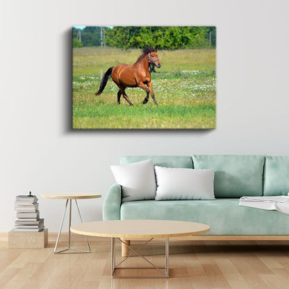 Özgür Ruh - Çayırda Koşan Kahverengi Atın Zarafeti Kanvas Tablo