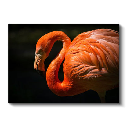 Flamingo Portresi - Turuncu Tüylerin Zarif Kıvrımları Kanvas Tablo