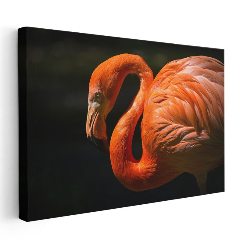 Flamingo Portresi - Turuncu Tüylerin Zarif Kıvrımları Kanvas Tablo