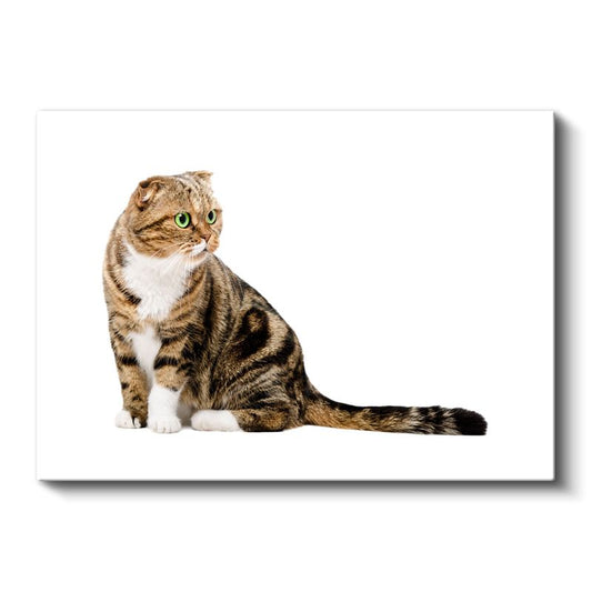 Yeşil Gözlü Kedi - Çizgili Tüylerin Asaleti Kanvas Tablo