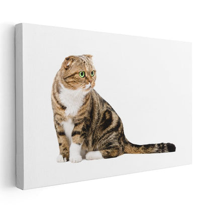 Yeşil Gözlü Kedi - Çizgili Tüylerin Asaleti Kanvas Tablo