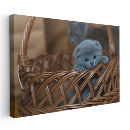 Sepetteki Yavru - Mavi Tüylü Minik Kedinin Masumiyeti Kanvas Tablo