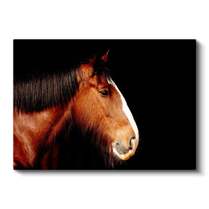 Asil At Profili - Kahverengi Güzelliğin Silüeti Kanvas Tablo