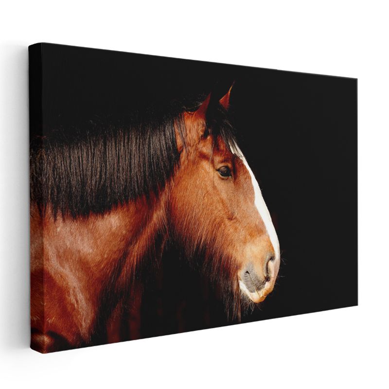 Asil At Profili - Kahverengi Güzelliğin Silüeti Kanvas Tablo