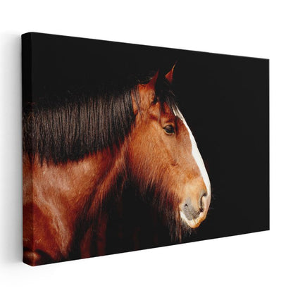 Asil At Profili - Kahverengi Güzelliğin Silüeti Kanvas Tablo