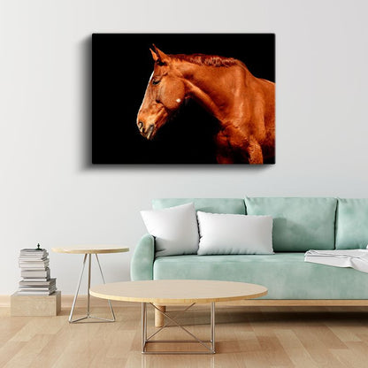 At Portresi - Kahverengi Tüylerin Işıltısı Kanvas Tablo