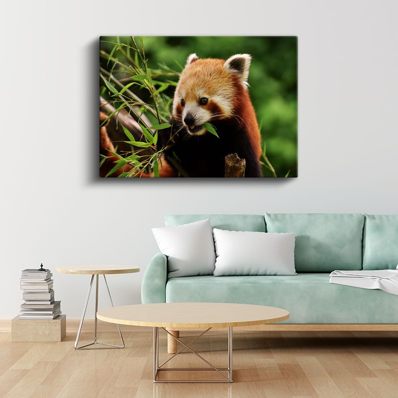 Bambu Aşığı - Kızıl Pandanın Yemek Keyfi Kanvas Tablo