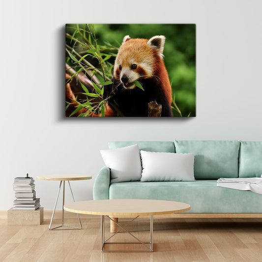 Bambu Aşığı - Kızıl Pandanın Yemek Keyfi Kanvas Tablo