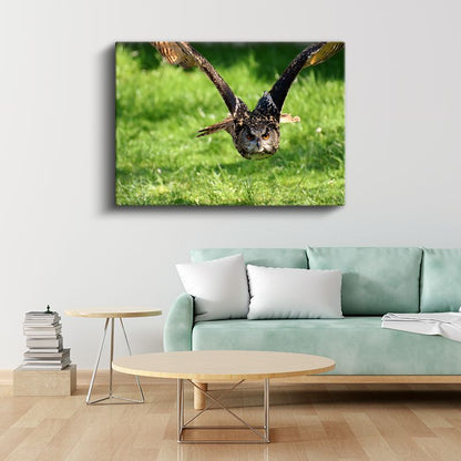 Avcı Baykuş - Kanatları Açık Uçuş Anı Kanvas Tablo
