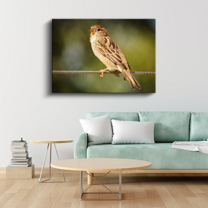 Serçe Duruşu - Tel Üzerinde Bekleyen Minik Kuş Kanvas Tablo