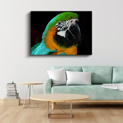 Ara Papağanı - Mavi Yeşil Tüylerin İhtişamı Kanvas Tablo