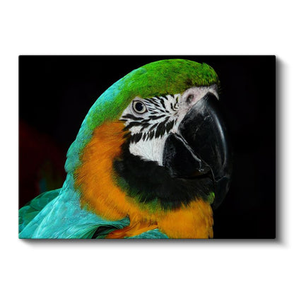 Ara Papağanı - Mavi Yeşil Tüylerin İhtişamı Kanvas Tablo