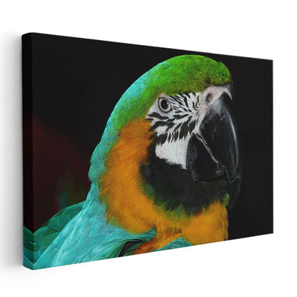 Ara Papağanı - Mavi Yeşil Tüylerin İhtişamı Kanvas Tablo