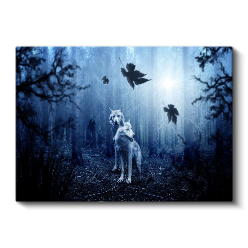 Orman Kurtları - Beyaz Tüylü İkili Kanvas Tablo