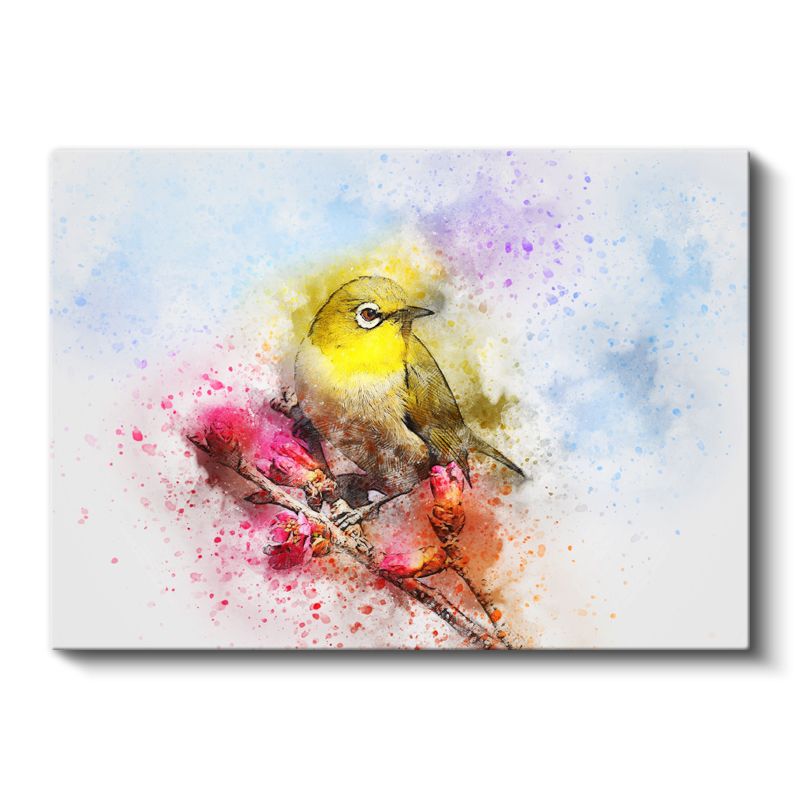 Suluboya Kuş - Sarı Tüylü Minik Şarkıcı Kanvas Tablo