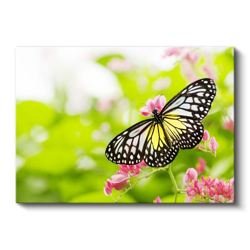 Kelebek Zarafeti - Sarı Siyah Kanatların Dansı Kanvas Tablo