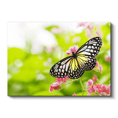 Kelebek Zarafeti - Sarı Siyah Kanatların Dansı Kanvas Tablo