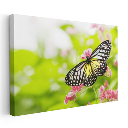 Kelebek Zarafeti - Sarı Siyah Kanatların Dansı Kanvas Tablo