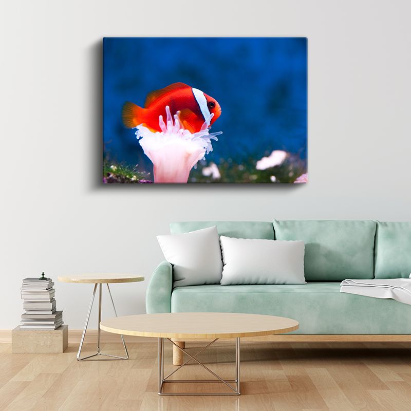 Palyaço Balığı - Mercan Dostunun Üzerinde Kanvas Tablo